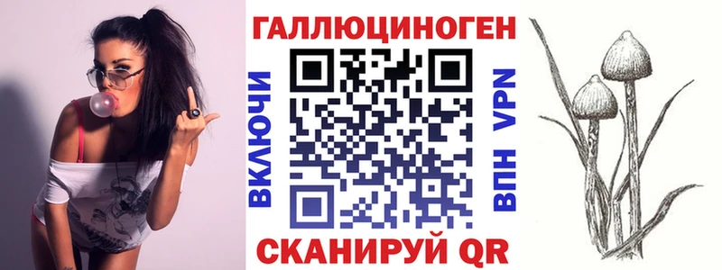 Псилоцибиновые грибы Psilocybe Белая Холуница