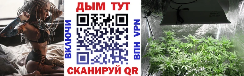 Бошки марихуана Bruce Banner  Белая Холуница 